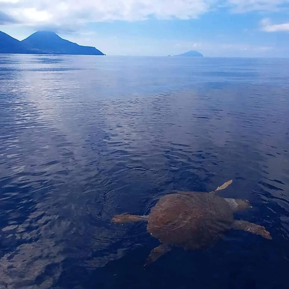 "Appartamento Del Mare Gliaca" Con Vista Isole Eolie,Ampia Terrazza,Wifi E Parcheggio Privato Gratuito Piraino Buitenkant foto